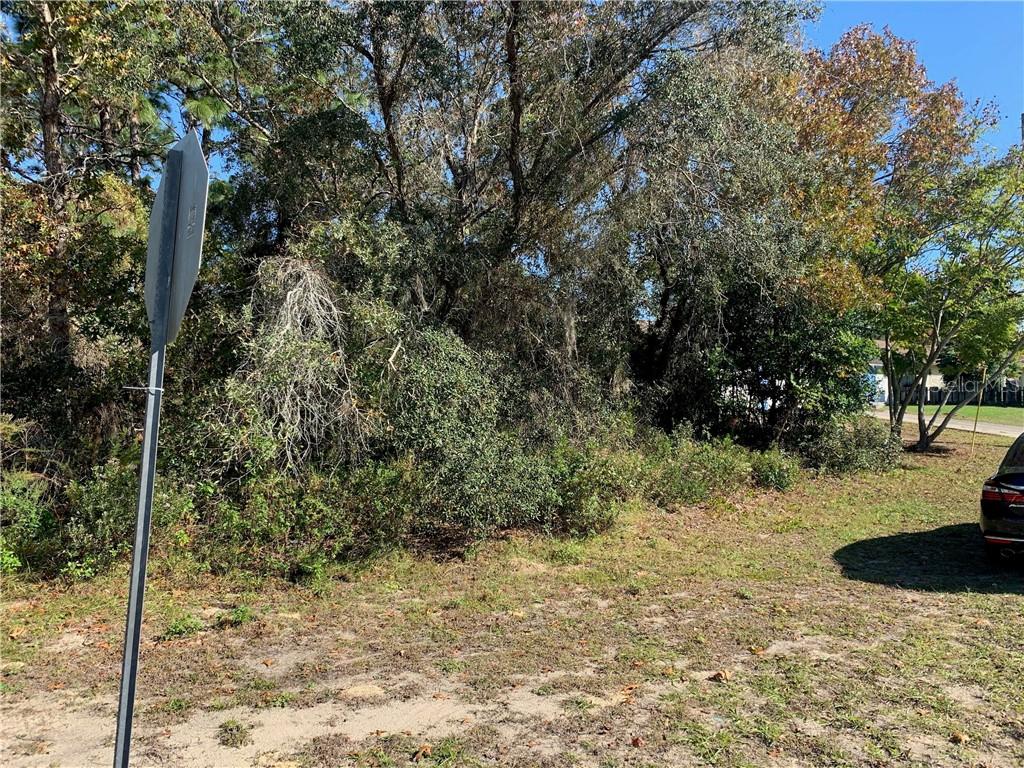 11276 Mayflower Road Spring Hill, FL 34608 - Photo 1 of 1 a view of a yard with plants and trees