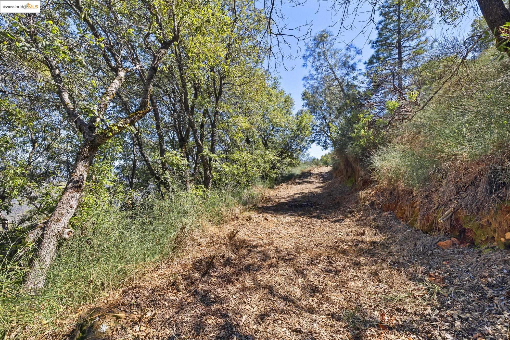 22611 Ridgemont Drive Sonora, CA 95370 - Photo 8 of 13