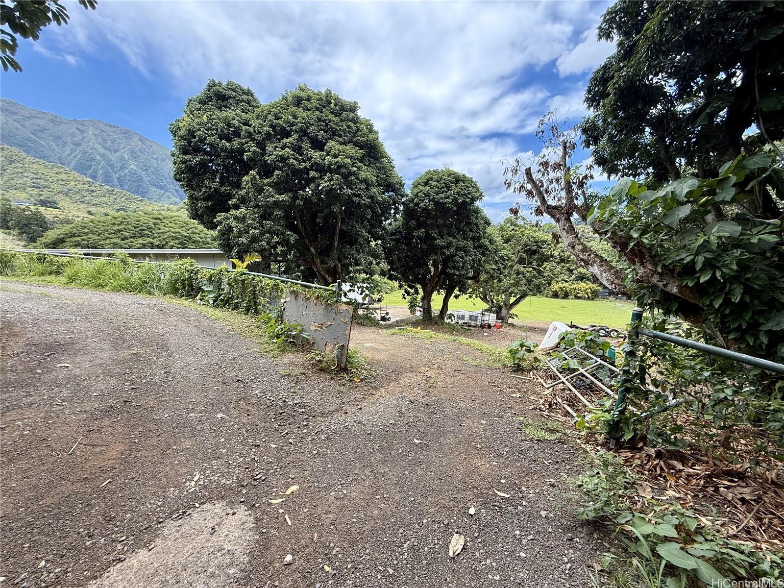 47-351 Waihee Road Kaneohe, HI 96744 - Photo 7 of 7 a view of a tree with a yard
