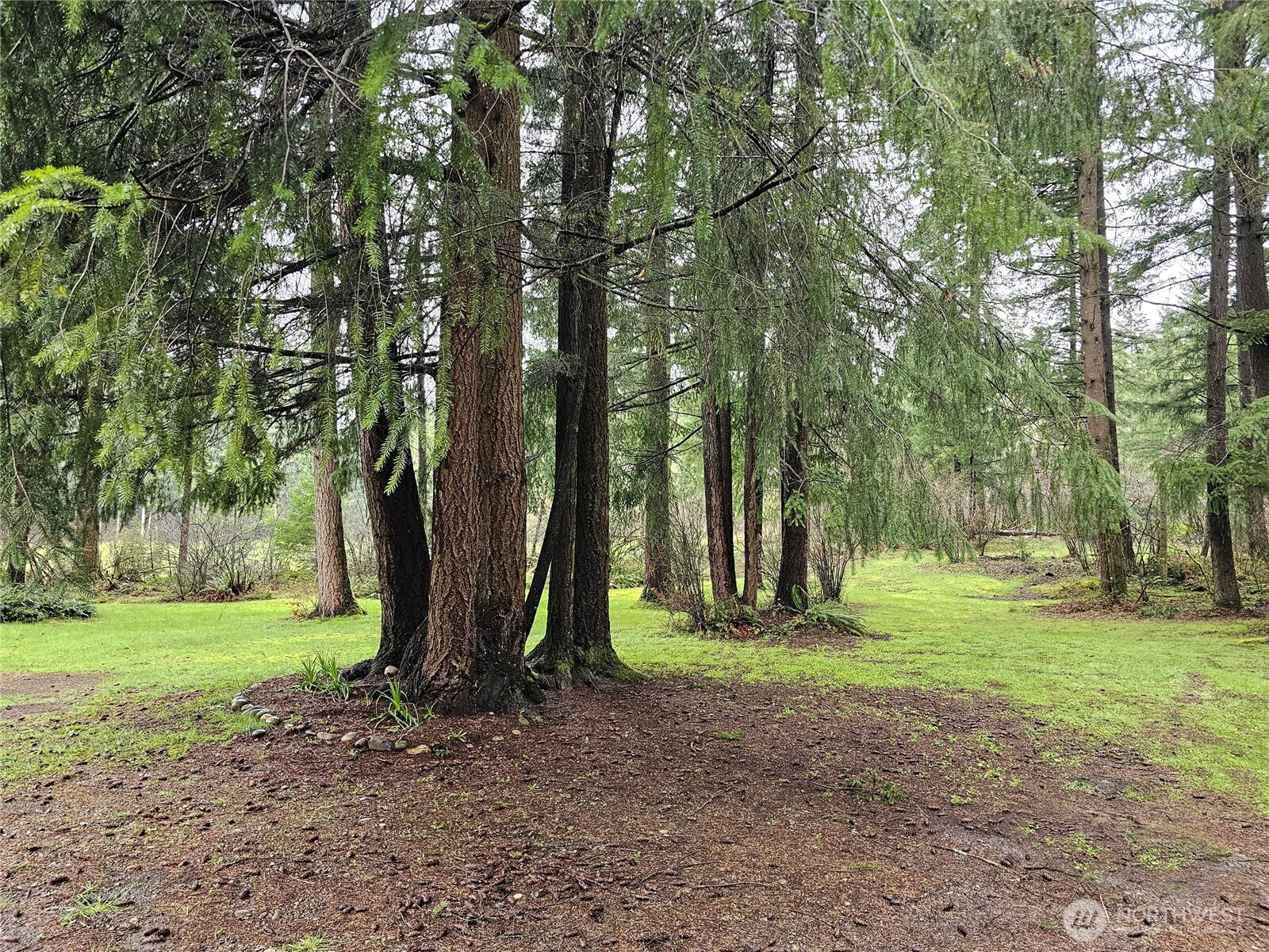 16727 Littlerock Road Southwest Rochester, WA 98579 - Photo 31 of 40