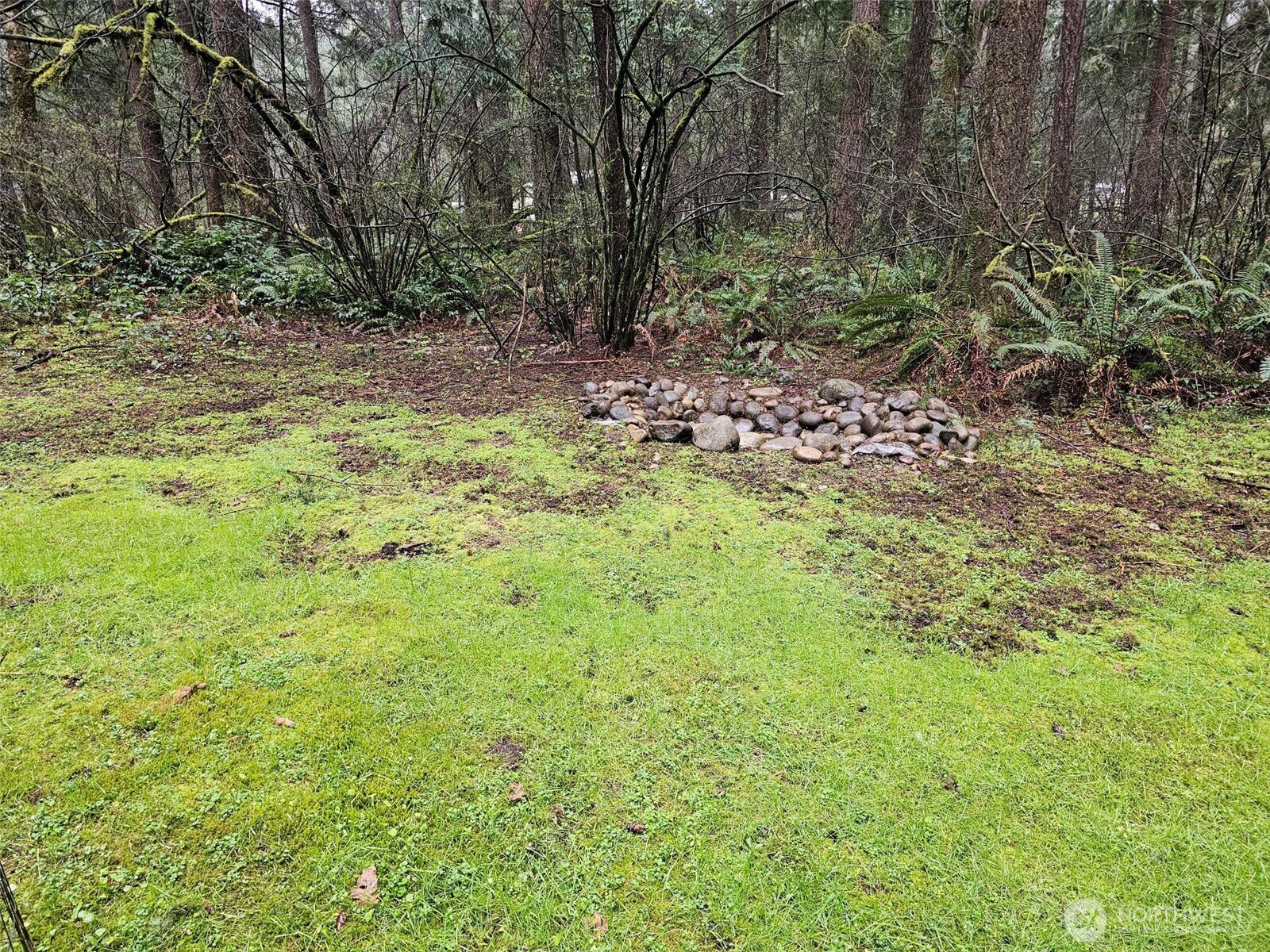 16727 Littlerock Road Southwest Rochester, WA 98579 - Photo 38 of 40