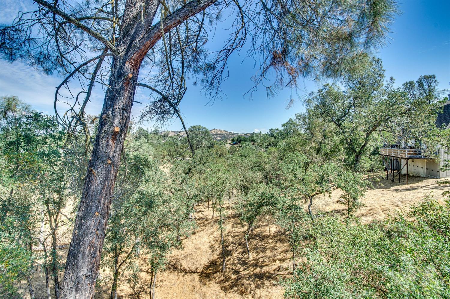4589 Tomahawk Trail Copperopolis, CA 95228 - Photo 41 of 86