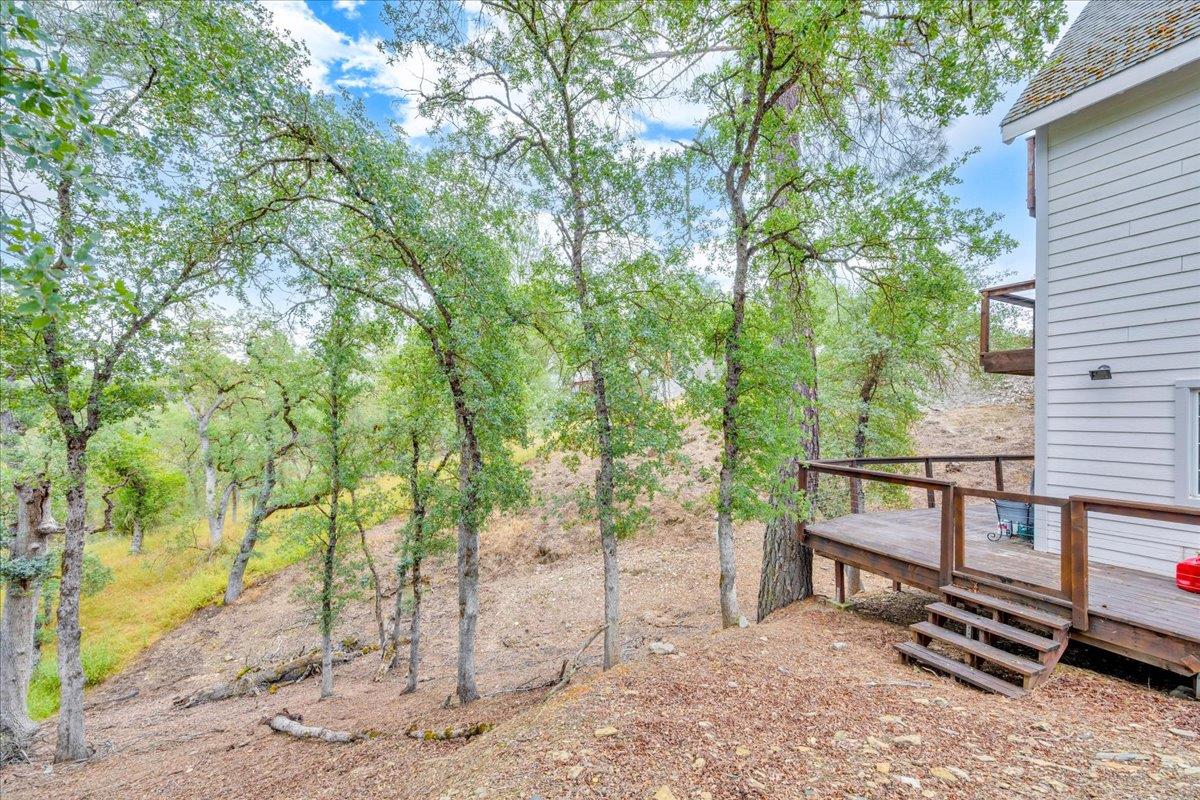 4589 Tomahawk Trail Copperopolis, CA 95228 - Photo 52 of 86