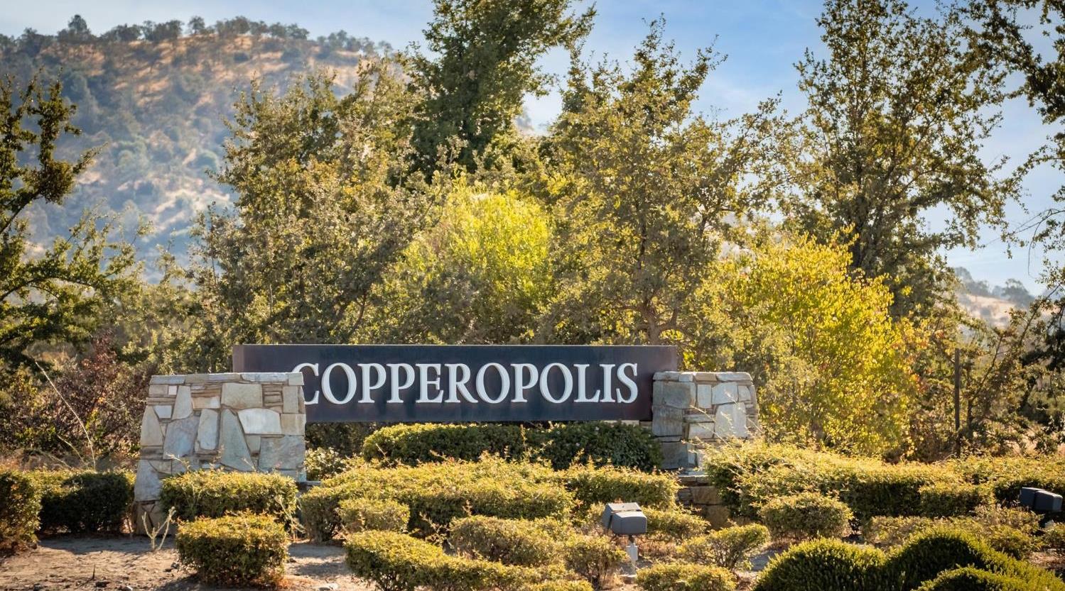 4589 Tomahawk Trail Copperopolis, CA 95228 - Photo 80 of 86