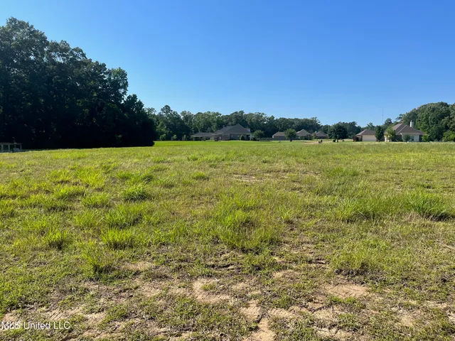 $53,900 | Lot 50 Molly Lea Street, Natchez, MS 39120