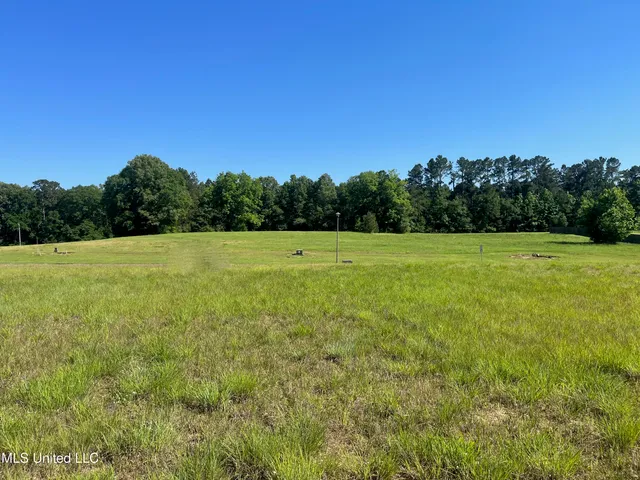 $53,900 | Lot 50 Molly Lea Street, Natchez, MS 39120
