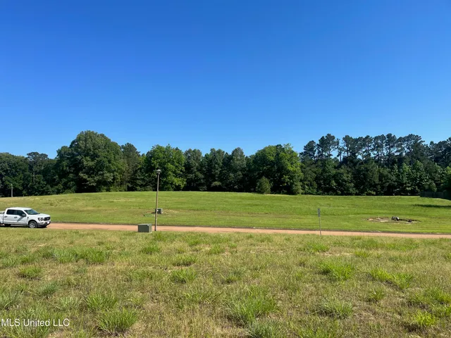 $53,900 | Lot 50 Molly Lea Street, Natchez, MS 39120