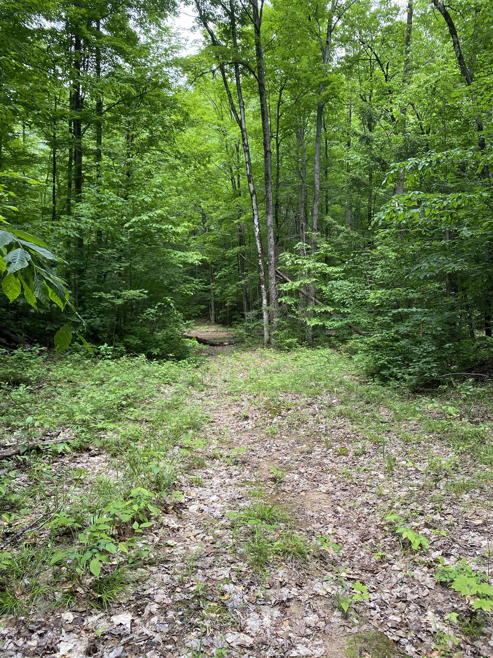 3 Stark Road, Unit LOT: 3 Mancelona, MI 49659 - Photo 21 of 26