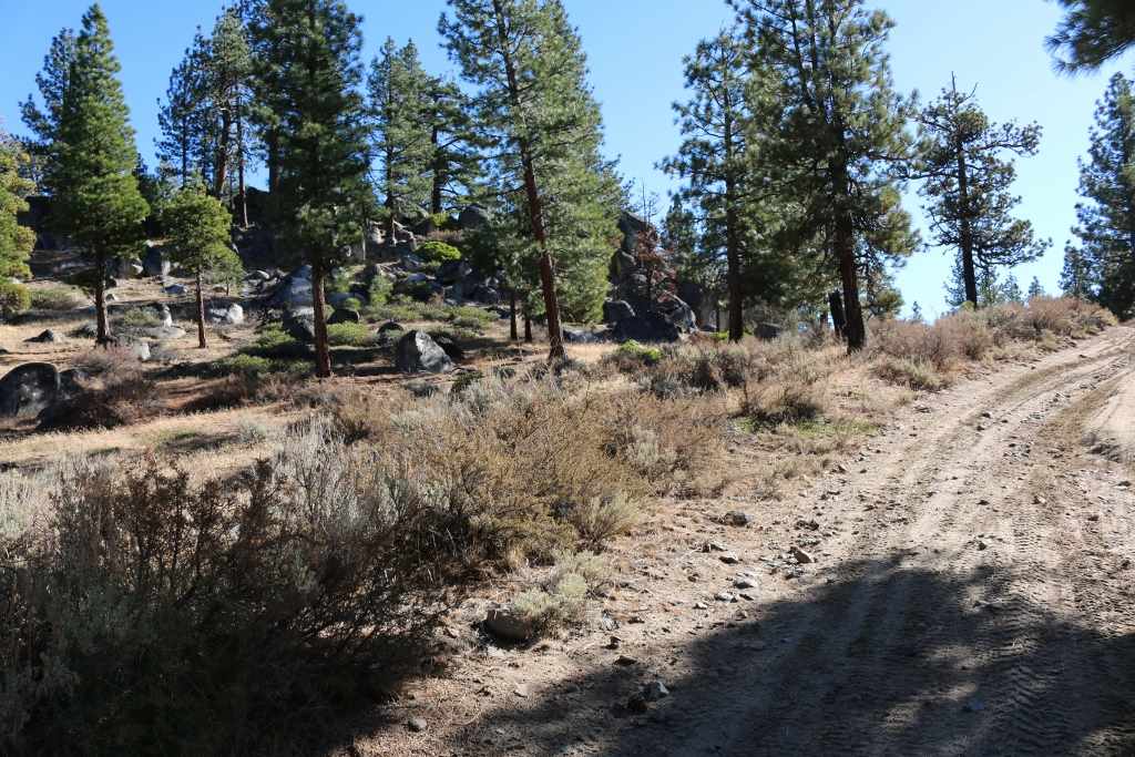 S18 Long Valley Road Loyalton, CA 96118 - Photo 26 of 26 a view of road and trees