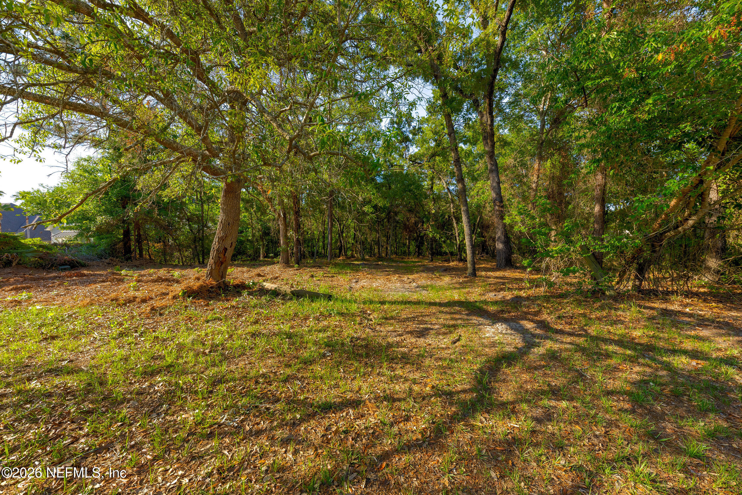 3075 Bishop Estates Road St. Johns, FL 32259 - Photo 6 of 39 Partially Cleared