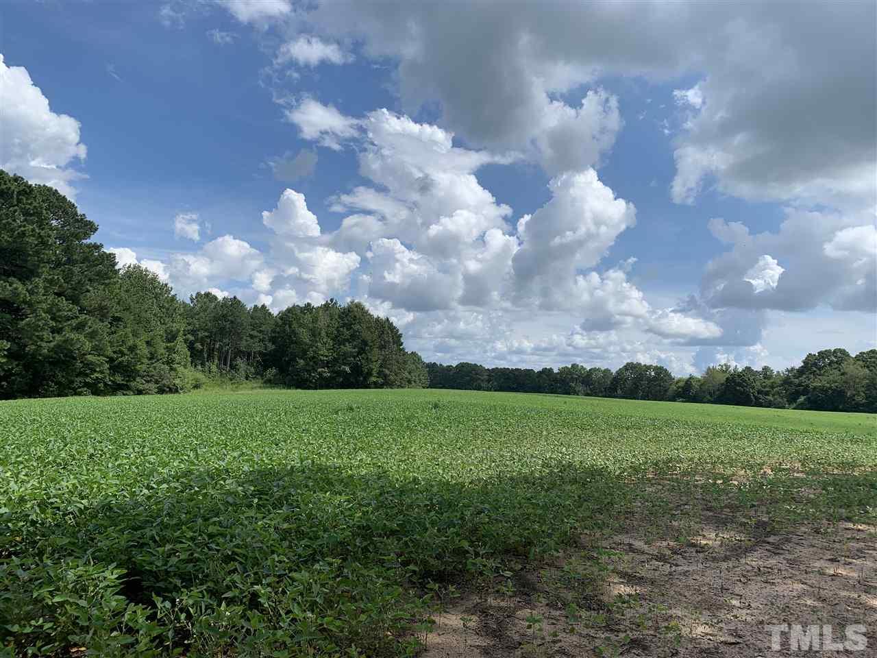 2712 Sims Bridge Road Kittrell, NC 27544 - Photo 7 of 8 Gallery Image 7