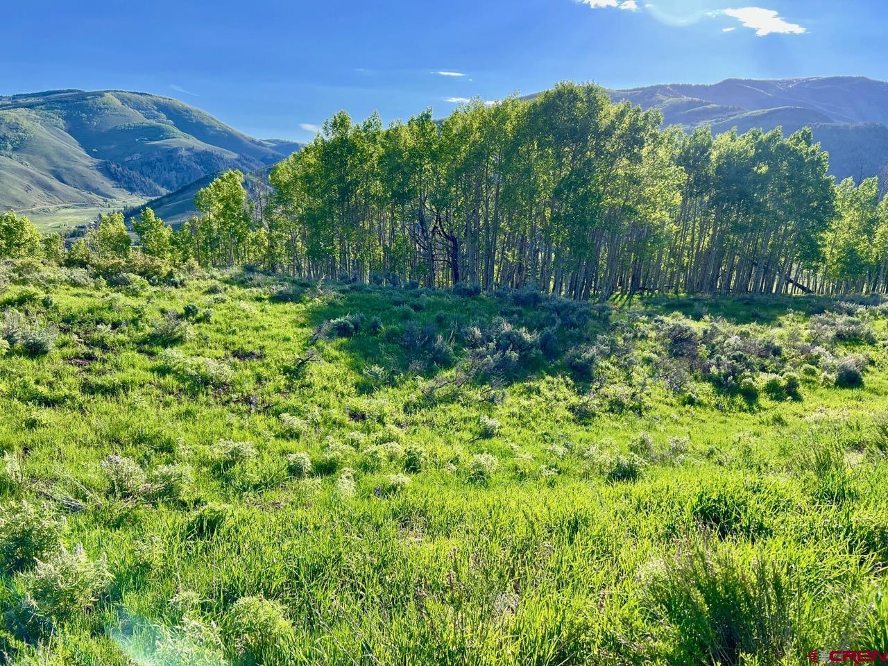 1190 Red Mountain Ranch Road Crested Butte, CO 81224 - Photo 9 of 21 Gallery Image 9