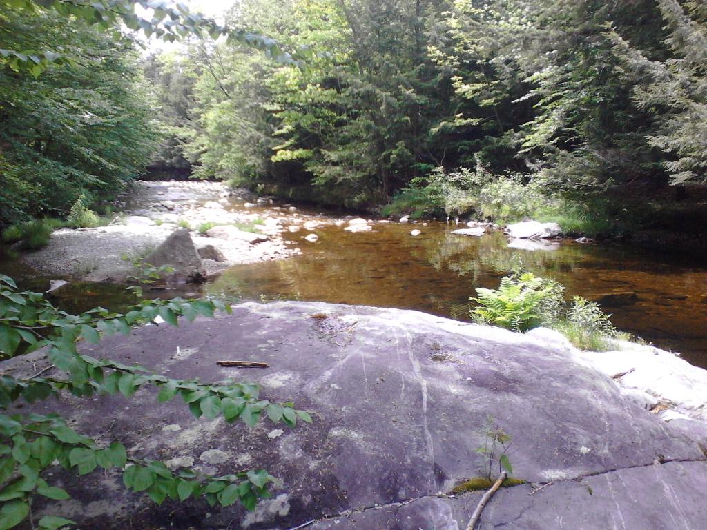 1485 Fowler River Road Alexandria, NH 03222 - Photo 8 of 9