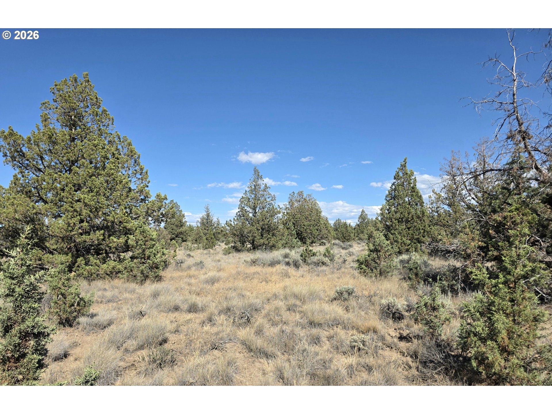Southeast Cayuse Road, Unit TL1000 Prineville, OR 97754 - Photo 2 of 5