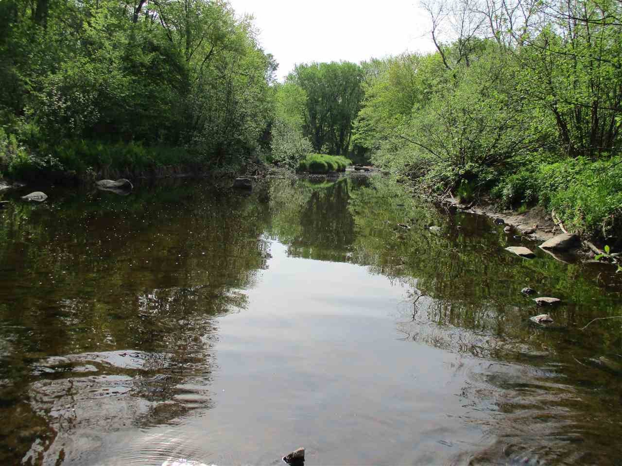 10-acres County Rd A Owen, WI 54460 - Photo 1 of 1