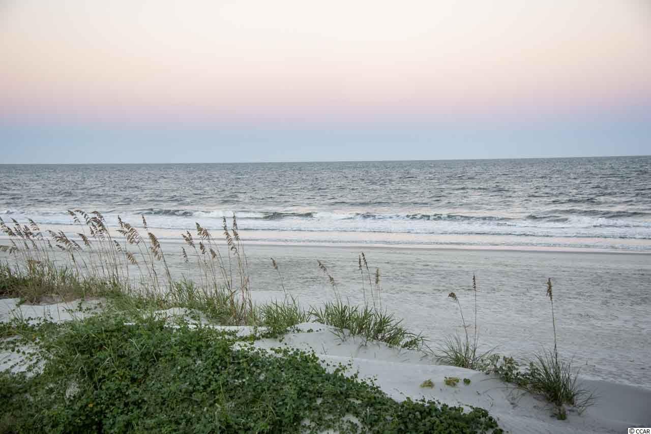 895 Wachesaw Road Murrells Inlet, SC 29576 - Photo 36 of 36 Gallery Image 36