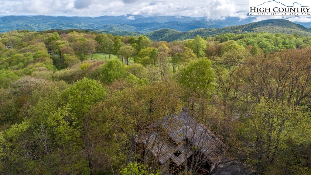 218 Grassy Gap Loop Road Beech Mountain, NC 28604 - Photo 2 of 50 Gallery Image 2