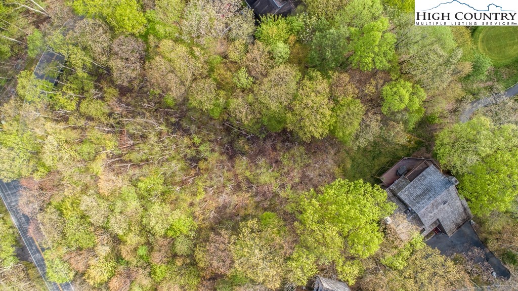 218 Grassy Gap Loop Road Beech Mountain, NC 28604 - Photo 48 of 50 Gallery Image 48
