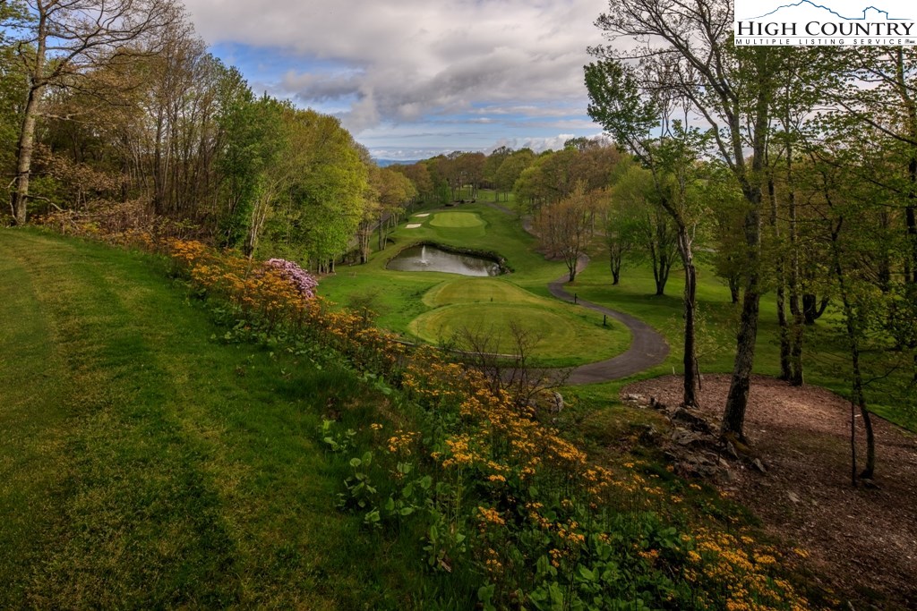 218 Grassy Gap Loop Road Beech Mountain, NC 28604 - Photo 50 of 50 Gallery Image 50