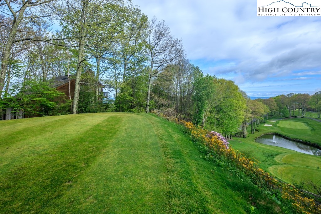 218 Grassy Gap Loop Road Beech Mountain, NC 28604 - Photo 5 of 50 Gallery Image 5