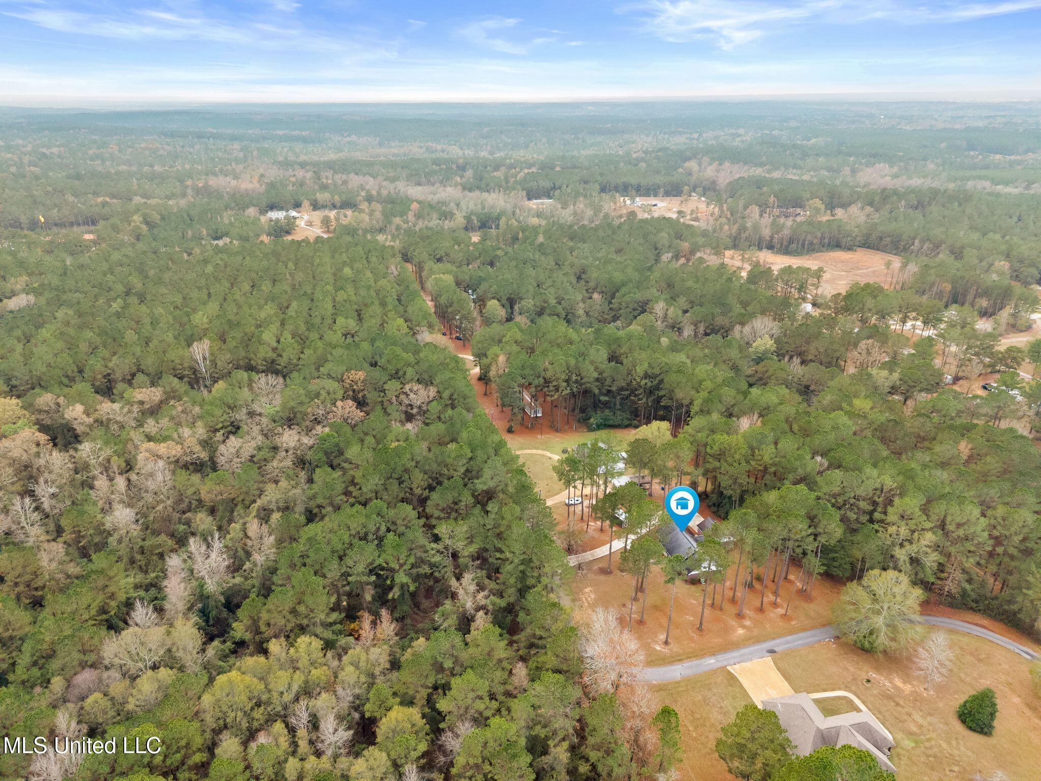 48 J Shows Drive Seminary, MS 39479 - Photo 42 of 43 48_J_Shows_Dr-42