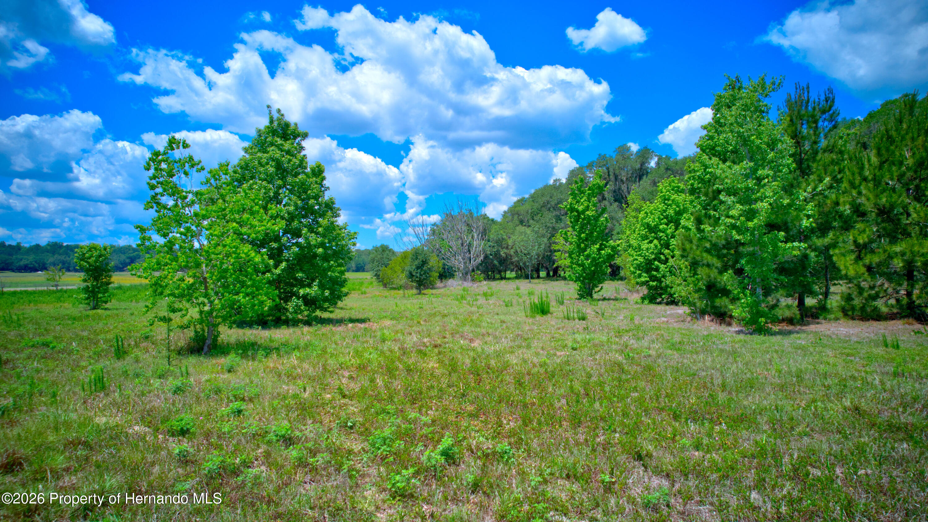 3267 Neff Lk Road Brooksville, FL 34602 - Photo 57 of 82