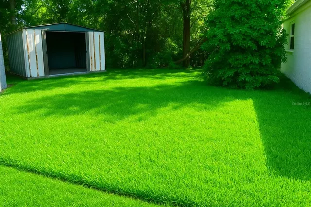 a backyard of a house with plants and large tree