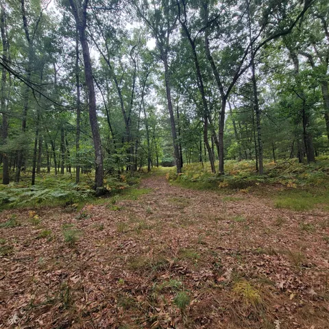 $110,000 | 9177 South Lost Pine Avenue, Baldwin, MI 49304