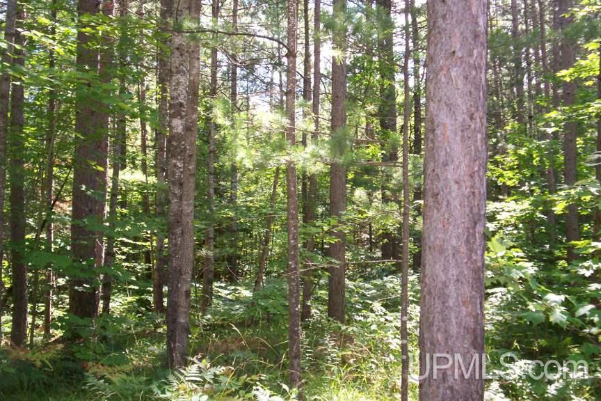 5744 North Co Road Manistique, MI 49854 - Photo 12 of 17
