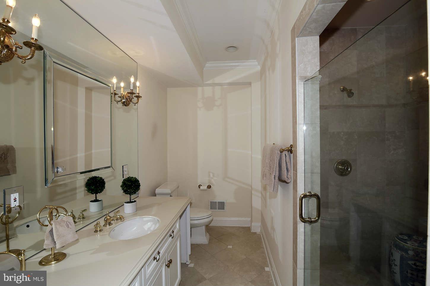 9311 River Road Potomac, MD 20854 - Photo 24 of 29 Gentleman's Bathroom wt shower and sauna