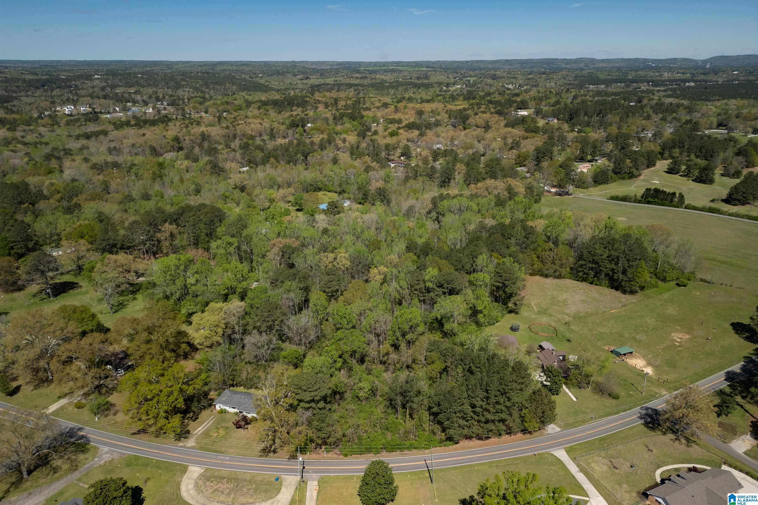 1044 Morris Majestic Road Morris, AL 35116 - Photo 4 of 13