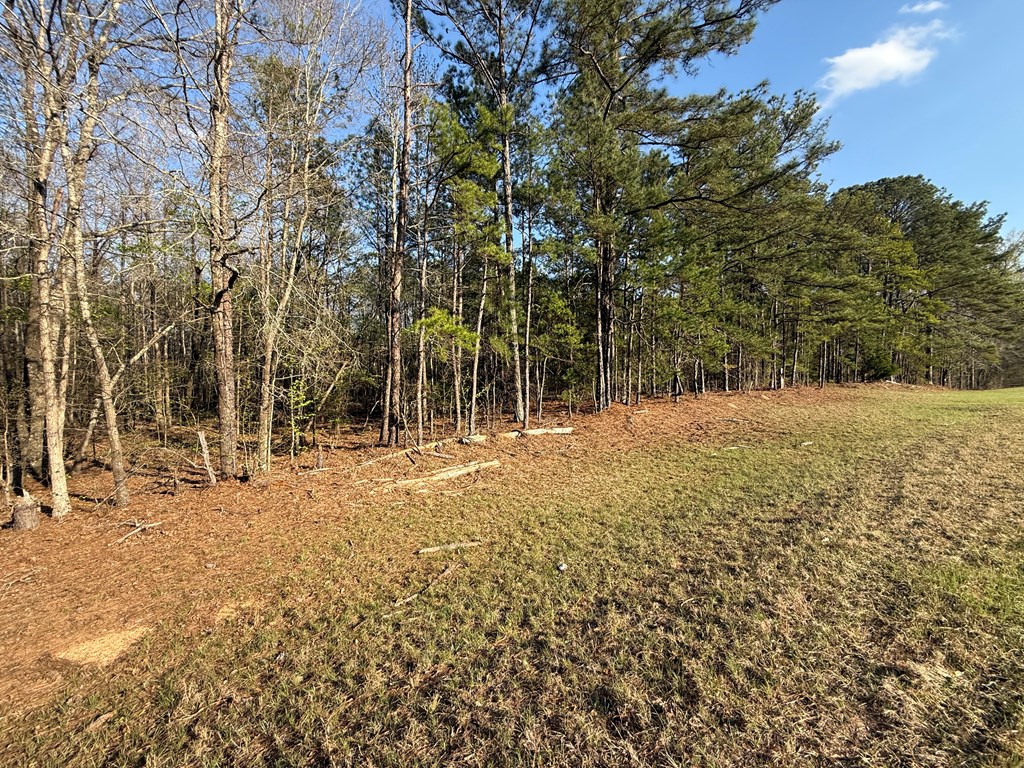 0 Oak Mountain Road Waverly Hall, GA 31831 - Photo 13 of 50