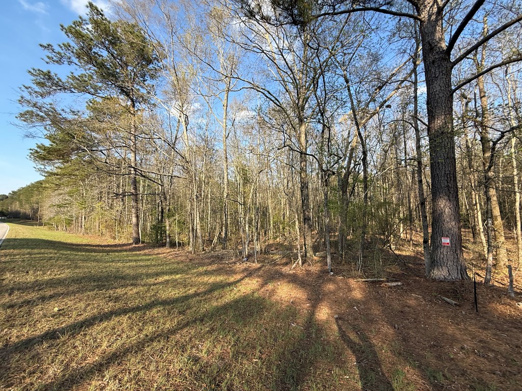 0 Oak Mountain Road Waverly Hall, GA 31831 - Photo 14 of 50 a view of road with large trees
