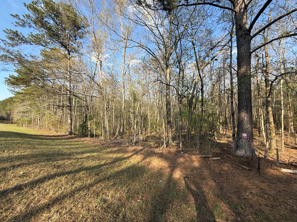 0 Oak Mountain Road Waverly Hall, GA 31831 - Photo 15 of 50 a view of road with large trees