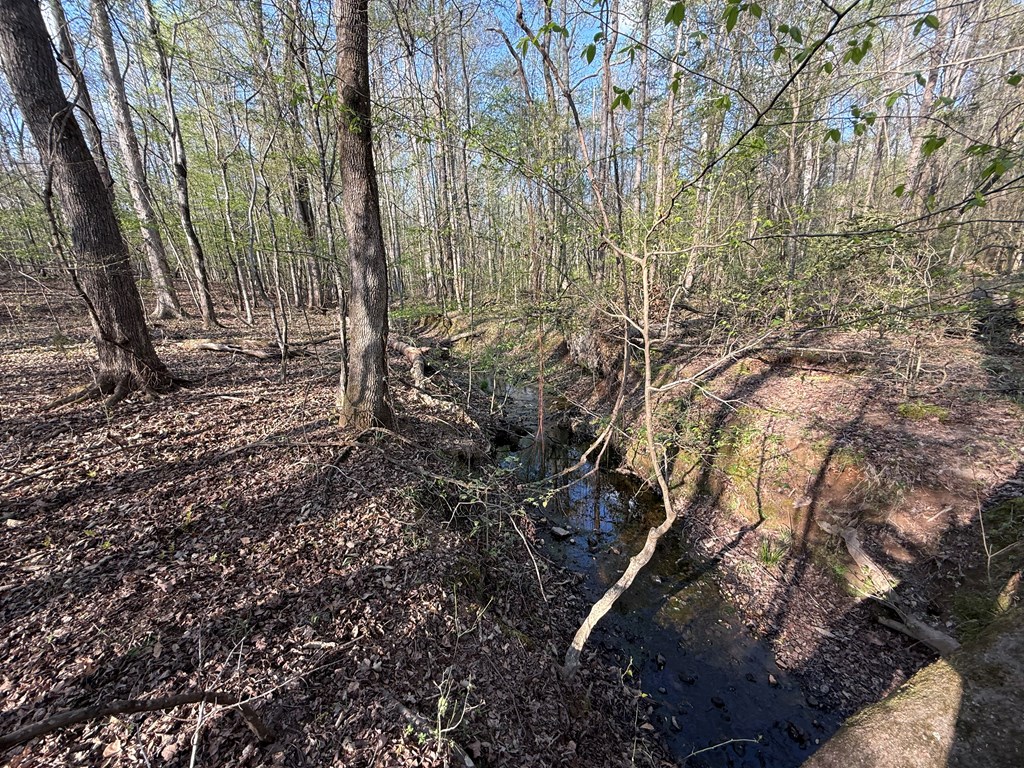 0 Oak Mountain Road Waverly Hall, GA 31831 - Photo 16 of 50 a view of a forest with lots of trees