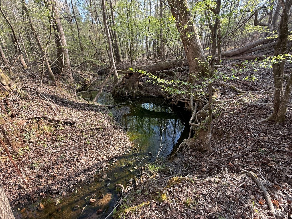 0 Oak Mountain Road Waverly Hall, GA 31831 - Photo 22 of 50 a view of a backyard