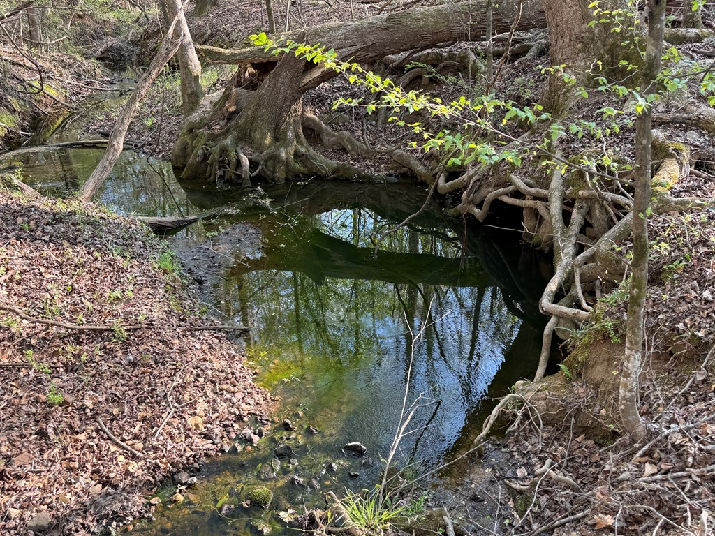0 Oak Mountain Road Waverly Hall, GA 31831 - Photo 23 of 50 a view of water fountain