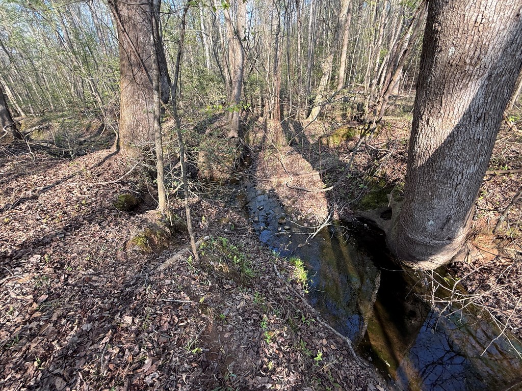 0 Oak Mountain Road Waverly Hall, GA 31831 - Photo 24 of 50 a view of bushes and trees