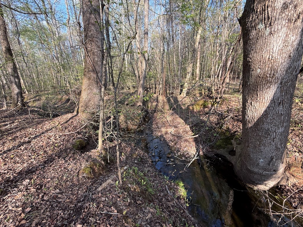 0 Oak Mountain Road Waverly Hall, GA 31831 - Photo 25 of 50 a view of a yard with plants and large trees