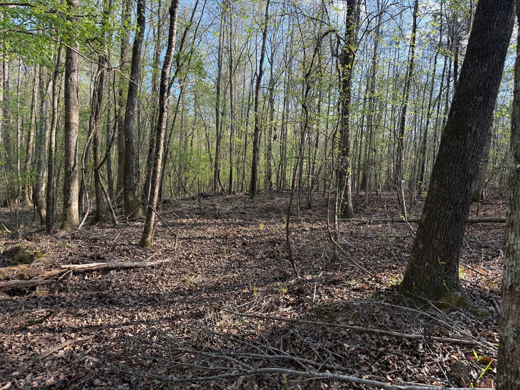 0 Oak Mountain Road Waverly Hall, GA 31831 - Photo 26 of 50 a view of a backyard with trees