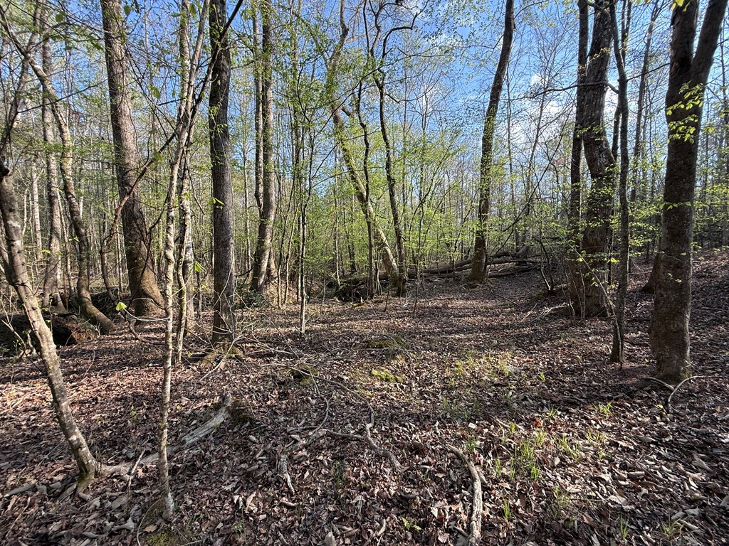 0 Oak Mountain Road Waverly Hall, GA 31831 - Photo 30 of 50 a view of outdoor space and yard