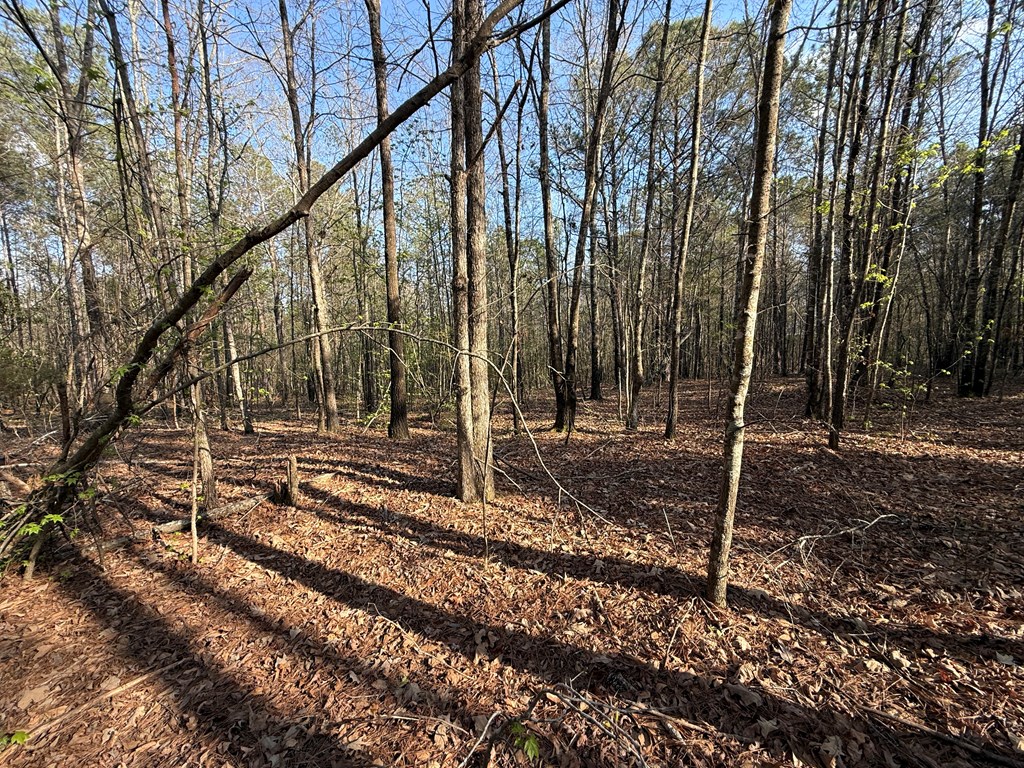 0 Oak Mountain Road Waverly Hall, GA 31831 - Photo 31 of 50 a view of a house with a yard