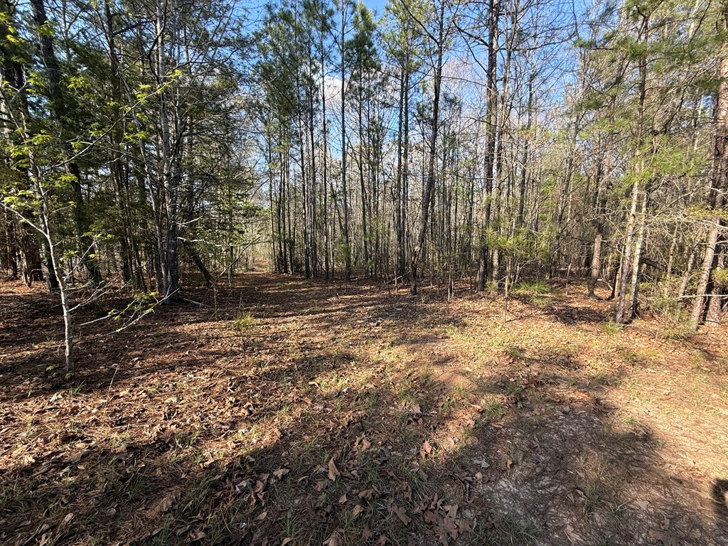 0 Oak Mountain Road Waverly Hall, GA 31831 - Photo 34 of 50 a view of outdoor space with trees