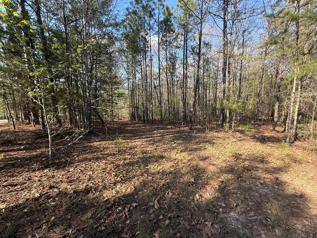 0 Oak Mountain Road Waverly Hall, GA 31831 - Photo 35 of 50 a view of outdoor space with trees