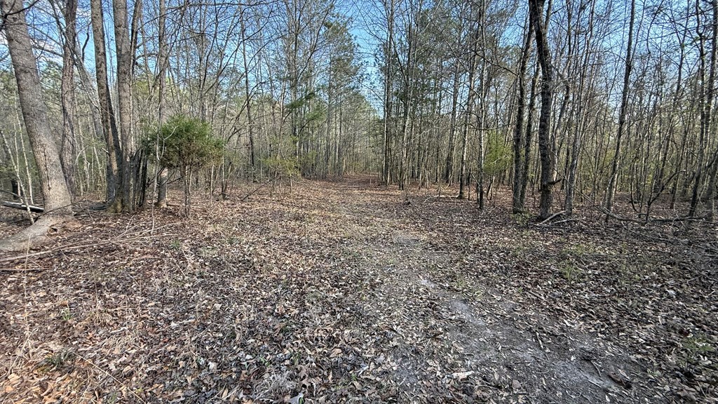 0 Oak Mountain Road Waverly Hall, GA 31831 - Photo 37 of 50 a view of a yard with large trees