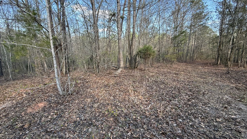 0 Oak Mountain Road Waverly Hall, GA 31831 - Photo 38 of 50 a view of a yard with large trees