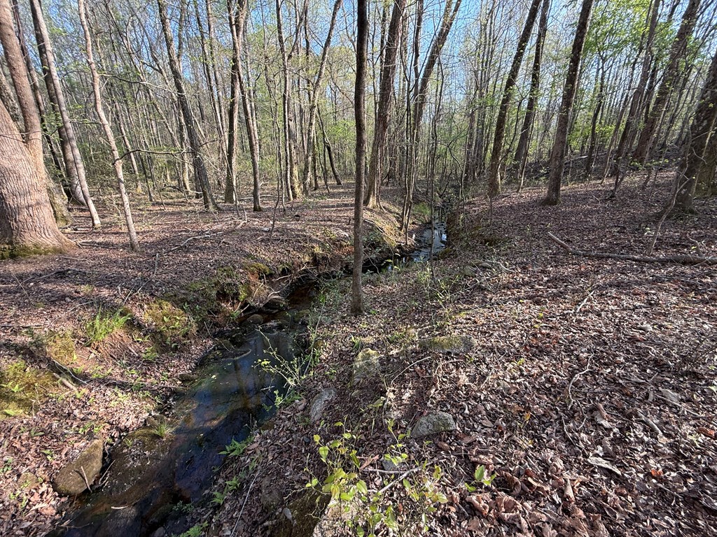 0 Oak Mountain Road Waverly Hall, GA 31831 - Photo 41 of 50 a view of backyard with green space