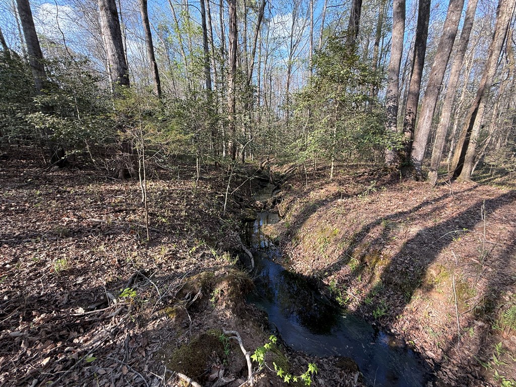 0 Oak Mountain Road Waverly Hall, GA 31831 - Photo 42 of 50 a view of a yard with plants and large trees
