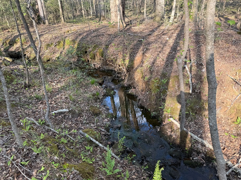 0 Oak Mountain Road Waverly Hall, GA 31831 - Photo 43 of 50 a view of a yard with plants and large trees