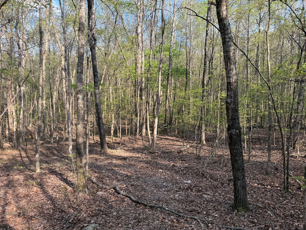 0 Oak Mountain Road Waverly Hall, GA 31831 - Photo 45 of 50 a view of outdoor space with trees